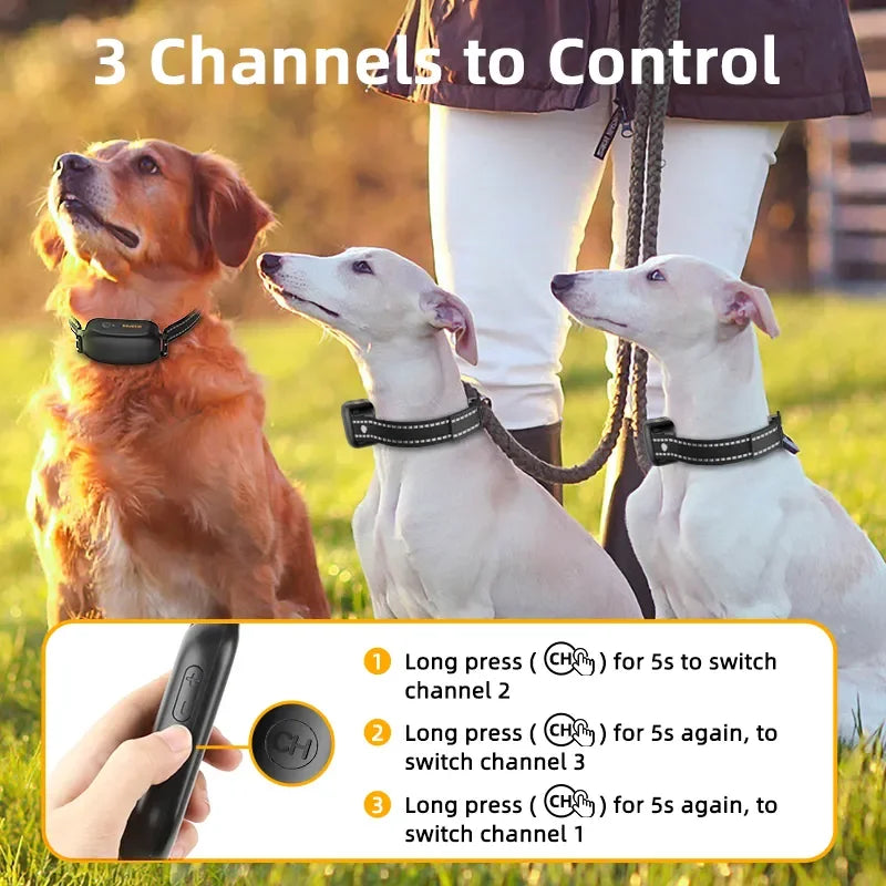 ROJECO Rechargeable Dog Training Collar with Remote